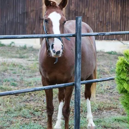 Casale Del Golfo קאסטלמארה דל גולפו